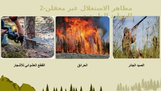 2-‫معقلن‬ ‫غير‬ ‫االستغالل‬ ‫مظاهر‬
‫الطبيعية‬ ‫للموارد‬
 