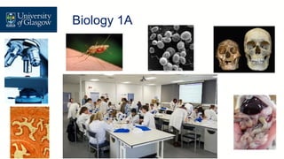 Level 1 Biology – Biology 1A
Biology 1A
 