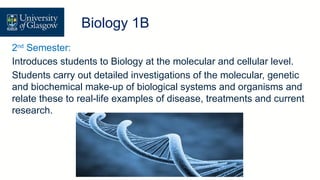 2nd
Semester:
Introduces students to Biology at the molecular and cellular level.
Students carry out detailed investigations of the molecular, genetic
and biochemical make-up of biological systems and organisms and
relate these to real-life examples of disease, treatments and current
research.
Level 1 Biology – Biology 1B
Biology 1B
 