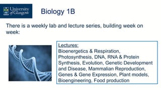 There is a weekly lab and lecture series, building week on
week:
Lectures:
Bioenergetics & Respiration,
Photosynthesis, DNA, RNA & Protein
Synthesis, Evolution, Genetic Development
and Disease, Mammalian Reproduction,
Genes & Gene Expression, Plant models,
Bioengineering, Food production
Level 1 Biology – Biology 1B
Biology 1B
 