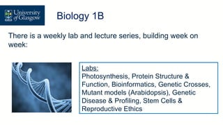 There is a weekly lab and lecture series, building week on
week:
Labs:
Photosynthesis, Protein Structure &
Function, Bioinformatics, Genetic Crosses,
Mutant models (Arabidopsis), Genetic
Disease & Profiling, Stem Cells &
Reproductive Ethics
Level 1 Biology – Biology 1B
Biology 1B
 