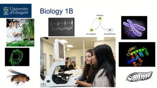 Level 1 Biology – Biology 1B
Biology 1B
 