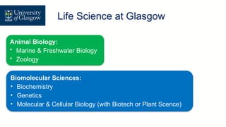 Animal Biology:
• Marine & Freshwater Biology
• Zoology
Life Science at Glasgow
Biomolecular Sciences:
• Biochemistry
• Genetics
• Molecular & Cellular Biology (with Biotech or Plant Scence)
 