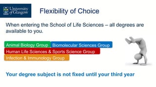 Flexibility of choice
When entering the School of Life Sciences – all degrees are
available to you.
Your degree subject is not fixed until your third year
Flexibility of Choice
Animal Biology Group Biomolecular Sciences Group
Human Life Sciences & Sports Science Group
Infection & Immunology Group
 
