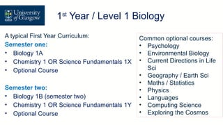 A typical First Year Curriculum:
Semester one:
• Biology 1A
• Chemistry 1 OR Science Fundamentals 1X
• Optional Course
Semester two:
• Biology 1B (semester two)
• Chemistry 1 OR Science Fundamentals 1Y
• Optional Course
Level 1 Biology
1st
Year / Level 1 Biology
Common optional courses:
• Psychology
• Environmental Biology
• Current Directions in Life
Sci
• Geography / Earth Sci
• Maths / Statistics
• Physics
• Languages
• Computing Science
• Exploring the Cosmos
 