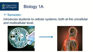 1st
Semester:
introduces students to cellular systems, both at the unicellular
and multicellular level.
Level 1 Biology – Biology 1A
Biology 1A
 