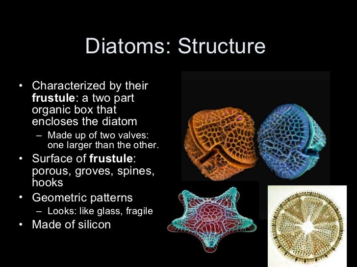 1 25-11 silicon shell diagram 