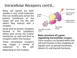Resception Cell !1. Endocrine system (1).ppt is best note | PPT