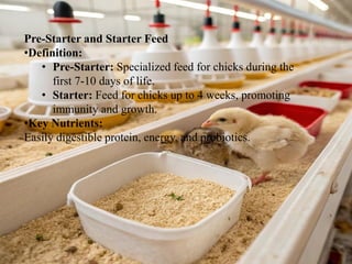 key nutrional terms in poultry farming.pdf