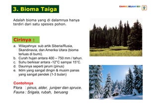 a. Wilayahnya: sub artik Siberia/Rusia,
Skandinavia, dan Amerika Utara (bioma
terluas di bumi).
3. Bioma Taiga
Adalah bioma yang di dalamnya hanya
terdiri dari satu spesies pohon.
Cirinya :
b. Curah hujan antara 400 – 750 mm / tahun.
c. Suhu berkisar antara -12°C sampai 15°C.
d. Daunnya seperti jarum (pinus)
e. Iklim yang sangat dingin & musim panas
yang sangat pendek (1-3 bulan)
Contohnya
Flora : pinus, alder, juniper dan spruce.
Fauna : Srigala, rubah, beruang
 