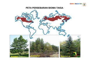 PETA PERSEBARAN BIOMA TAIGA
 
