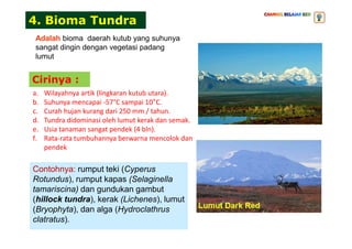 4. Bioma Tundra
Adalah bioma daerah kutub yang suhunya
sangat dingin dengan vegetasi padang
lumut
a. Wilayahnya artik (lingkaran kutub utara).
b. Suhunya mencapai -57°C sampai 10°C.
c. Curah hujan kurang dari 250 mm / tahun.
d. Tundra didominasi oleh lumut kerak dan semak.
e. Usia tanaman sangat pendek (4 bln).
Cirinya :
Contohnya: rumput teki (Cyperus
Rotundus), rumput kapas (Selaginella
tamariscina) dan gundukan gambut
(hillock tundra), kerak (Lichenes), lumut
(Bryophyta), dan alga (Hydroclathrus
clatratus).
e. Usia tanaman sangat pendek (4 bln).
f. Rata-rata tumbuhannya berwarna mencolok dan
pendek
 