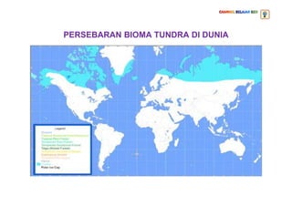 PERSEBARAN BIOMA TUNDRA DI DUNIA
 
