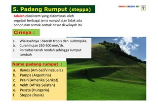 a. Wialayahnya : daerah tropis dan subtropika.
b. Curah hujan 250-500 mm/th.
c. Porositas tanah rendah sehingga rumput
tumbuh
5. Padang Rumput (steppa)
Cirinya :
Adalah ekosistem yang didominasi oleh
vegetasi berbagai jenis rumput dan tidak ada
pohon dan semak-semak besar di wilayah itu
tumbuh
a. Ilanos (Am-Sel/Vinezuela)
b. Pampa (Argentina)
c. Prairi (Amerika Serikat).
d. Veldt (Afrika Selatan)
e. Puszta (Hungaria)
f. Steppa (Rusia)
Nama padang rumput :
 