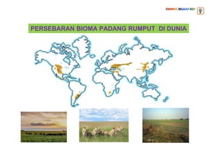 PERSEBARAN BIOMA PADANG RUMPUT DI DUNIA
 