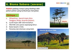 Adalah padang rumput yang diselingi oleh
pohon-pohon yang tumbuhnya menyebar.
6. Bioma Sabana (savana)
a. Wilayahnya : daerah tropis (Asia
Tenggara, Afrika, Amerika Selatan).
b. Curah hujan 100–150 mm/tahun.
c. Memiliki suhu panas sepanjang tahun.
d. Bulan basah 2-3 bln.
Cirinya :
d. Bulan basah 2-3 bln.
e. Porositas dan drainase cukup baik.
 
