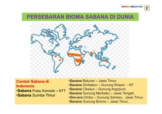 PERSEBARAN BIOMA SABANA DI DUNIA
•Savana Baluran – Jawa Timur.
•Savana Simbalun – Gunung Rinjani - NT
•Savana Cikasur – Gunung Argopuro.
•Savana Gunung Merbabu – Jawa Tengah.
•Oro-oro Ombo – Gunung Semeru, Jawa Timur.
•Savana Gunung Bromo – Jawa Timur.
Contoh Sabana di
Indonesia
•Sabana Pulau Komodo – NTT
•Sabana Sumba Timur
 