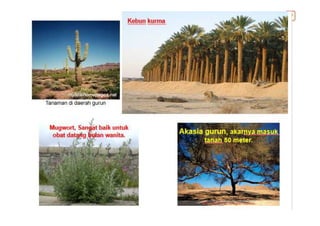 1. Flora Fauna di Indonesia dan Dunia (Bioma).pdf