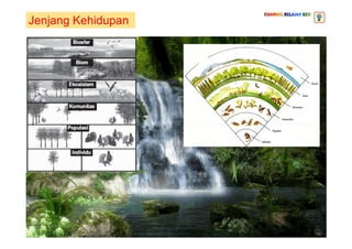 Jenjang Kehidupan
 