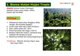 1. Bioma Hutan Hujan Tropis
Adalah bioma hutan hiterogen
diaerah tropis yang lebat, selalu
basah dan lembab.
1. Wilayahnya tropis (Asia Tenggara, Afrika
Tengah, dan Amerika Selatan).
2. Curah hujan lebih dari 2.000 mm/tahun.
3. Suhu udara antara 25°- 26°C.
Cirinya :
3. Suhu udara antara 25°- 26°C.
4. Pohonnya besar dan tinggi (>20 m).
5. Berdaun lebat dan rimbun, membuat sinar
matahari tdk sampai ke tanah.
6. Bawahnya lembab dan sering tergenang air.
Contohnya: : Meranti, keruing, Kapur, kayu
besi, kayu hitam.
 