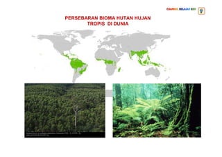 PERSEBARAN BIOMA HUTAN HUJAN
TROPIS DI DUNIA
 