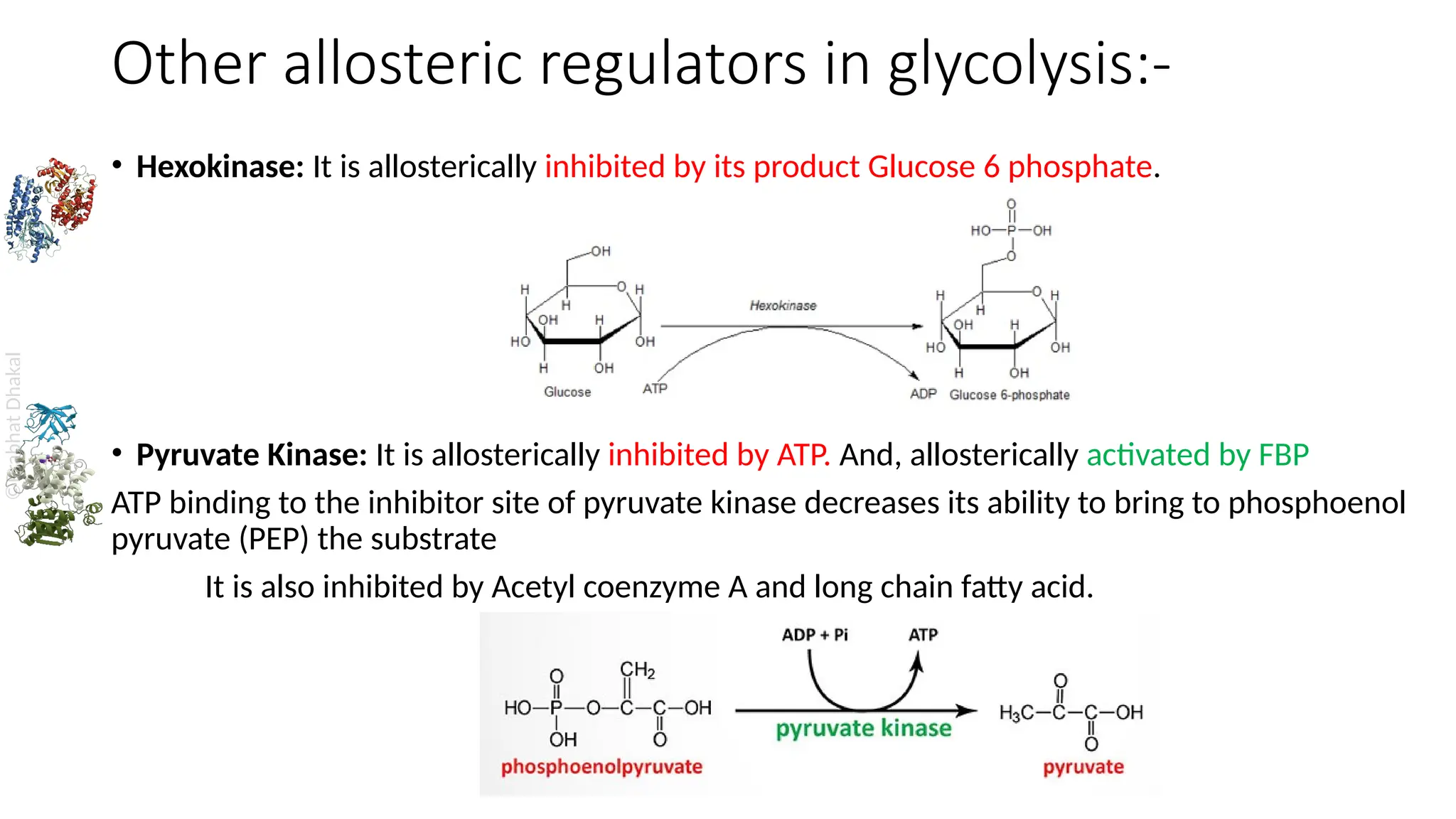 1. Metabolism, central metabolism and regulation of metabolic pathways ...