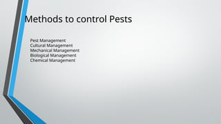 Methods to control Pests
Pest Management
Cultural Management
Mechanical Management
Biological Management
Chemical Management
 