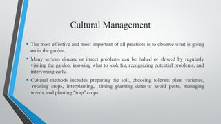 Cultural Management
• The most effective and most important of all practices is to observe what is going
on in the garden.
• Many serious disease or insect problems can be halted or slowed by regularly
visiting the garden, knowing what to look for, recognizing potential problems, and
intervening early.
• Cultural methods includes preparing the soil, choosing tolerant plant varieties,
rotating crops, interplanting, timing planting dates to avoid pests, managing
weeds, and planting "trap" crops.
 