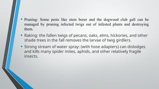 • Pruning: Some pests like stem borer and the dogwood club gall can be
managed by pruning infected twigs out of infested plants and destroying
them.
• Raking: the fallen twigs of pecans, oaks, elms, hickories, and other
shade trees in the fall removes the larvae of twig girdlers.
• Strong stream of water spray: (with hose adapters) can dislodges
and kills many spider mites, aphids, and other relatively fragile
insects.
 