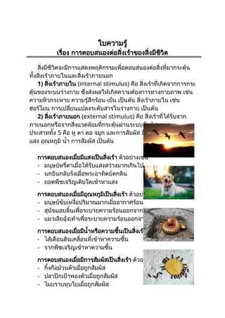 ใบความรู้
เรื่อง การตอบสนองต่อสิ่งเร้าของสิ่งมีชีวิต
สิ่งมีชีวิตจะมีการแสดงพฤติกรรมเพื่อตอบสนองต่อสิ่งที่มากระตุ้น
ทั้งสิ่งเร้าภายในและสิ่งเร้าภายนอก
1) สิ่งเร้าภายใน (internal stimulus) คือ สิ่งเร้าที่เกิดจากการกระ
ตุ้นของระบบร่างกาย ซึ่งส่งผลให้เกิดความต้องการทางกายภาพ เช่น
ความหิวกระหาย ความรู้สึกร้อน-เย็น เป็นต้น สิ่งเร้าภายใน เช่น
ฮอร์โมน การเปลี่ยนแปลงระดับสารในร่างกาย เป็นต้น
2) สิ่งเร้าภายนอก (external stimulus) คือ สิ่งเร้าที่ได้รับจาก
ภายนอกหรือจากสิ่งแวดล้อมที่กระตุ้นผ่านระบบสัมผัสของระบบ
ประสาททั้ง 5 คือ หู ตา คอ จมูก และการสัมผัส สิ่งเร้าภายนอก เช่น
แสง อุณหภูมิ น้ำ การสัมผัส เป็นต้น
การตอบสนองเมื่อมีแสงเป็นสิ่งเร้า ตัวอย่างเช่น
- มนุษย์หรี่ตาเมื่อได้รับแสงสว่างมากเกินไป
- นกบินกลับรังเมื่อพระอาทิตย์ตกดิน
- ยอดพืชเจริญเติบโตเข้าหาแสง
การตอบสนองเมื่อมีอุณหภูมิเป็นสิ่งเร้า ตัวอย่างเช่น
- มนุษย์ขับเหงื่อปริมาณมากเมื่ออากาศร้อน
- สุนัขแลบลิ้นเพื่อระบายความร้อนออกจากร่างกาย
- แมวเลียอุ้งเท้าเพื่อระบายความร้อนออกจากร่างกาย
การตอบสนองเมื่อมีน้ำหรือความชื้นเป็นสิ่งเร้า ตัวอย่างเช่น
- ไส้เดือนดินเคลื่อนที่เข้าหาความชื้น
- รากพืชเจริญเข้าหาความชื้น
การตอบสนองเมื่อมีการสัมผัสเป็นสิ่งเร้า ตัวอย่างเช่น
- กิ้งกือม้วนตัวเมื่อถูกสัมผัส
- ปลาปักเป้าพองตัวเมื่อถูกสัมผัส
- ไมยราบหุบใบเมื่อถูกสัมผัส
 