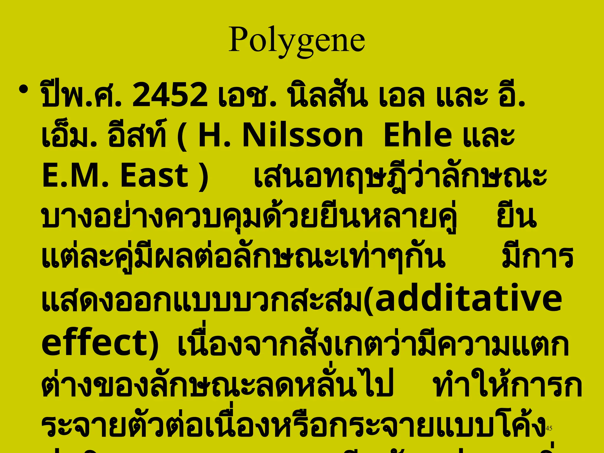 45
Polygene
• ปีพ.ศ. 2452 เอช. นิลสัน เอล และ อี.
เอ็ม. อีสท์ ( H. Nilsson Ehle และ
E.M. East ) เสนอทฤษฎีว่าลักษณะ
บางอย่างควบคุมด้วยยีนหลายคู่ ยีน
แต่ละคู่มีผลต่อลักษณะเท่าๆกัน มีการ
แสดงออกแบบบวกสะสม(additative
effect) เนื่องจากสังเกตว่ามีความแตก
ต่างของลักษณะลดหลั่นไป ทำให้การก
ระจายตัวต่อเนื่องหรือกระจายแบบโค้ง
 