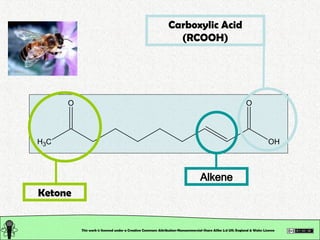 1. The most used Functional Groups in medicinal chemistry.ppt