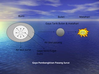 Bumi
Gaya Tarik Bulan & matahari
Bulan
Air laut pasang
Gaya Sentrifugal
bumi
Air laut surut
Matahari
Gaya Pembangkitan Pasang Surut
 
