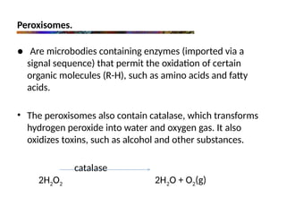 Peroxisomes.
● Are microbodies containing enzymes (imported via a
signal sequence) that permit the oxidation of certain
organic molecules (R-H), such as amino acids and fatty
acids.
• The peroxisomes also contain catalase, which transforms
hydrogen peroxide into water and oxygen gas. It also
oxidizes toxins, such as alcohol and other substances.
catalase
2H2O2 2H2O + O2(g)
 