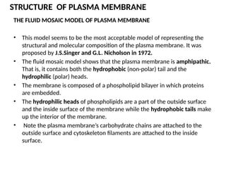 THE FLUID MOSAIC MODEL OF PLASMA MEMBRANE
• This model seems to be the most acceptable model of representing the
structural and molecular composition of the plasma membrane. It was
proposed by J.S.Singer and G.L. Nicholson in 1972.
• The fluid mosaic model shows that the plasma membrane is amphipathic.
That is, it contains both the hydrophobic (non-polar) tail and the
hydrophilic (polar) heads.
• The membrane is composed of a phospholipid bilayer in which proteins
are embedded.
• The hydrophilic heads of phospholipids are a part of the outside surface
and the inside surface of the membrane while the hydrophobic tails make
up the interior of the membrane.
• Note the plasma membrane’s carbohydrate chains are attached to the
outside surface and cytoskeleton filaments are attached to the inside
surface.
STRUCTURE OF PLASMA MEMBRANE
 