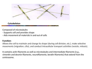 Cytoskeleton
Composed of microtubules
- Supports cell and provides shape
- Aids movement of materials in and out of cells
Function:
Allows the cell to maintain and change its shape (during cell division, etc.), make selective
movements (migration, cilia), and conduct intracellular transport activities (vesicle, mitosis).
It contains actin filaments as well as microtubules and intermediate filaments (e.g.,
vimentin and desmin filaments, neurofilaments, keratin filaments) that extend from the
centrosome.
 