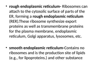 • rough endoplasmic reticulum- Ribosomes can
attach to the cytosolic surface of parts of the
ER, forming a rough endoplasmic reticulum
(RER).These ribosome synthesize export
proteins as well as transmembrane proteins
for the plasma membrane, endoplasmic
reticulum, Golgi apparatus, lysosomes, etc.
• smooth endoplasmic reticulum-Contains no
ribosomes and is the production site of lipids
(e.g., for lipoproteins.) and other substance
 