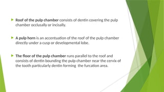  Roof of the pulp chamber consists of dentin covering the pulp
chamber occlusally or incisally.
 A pulp horn is an accentuation of the roof of the pulp chamber
directly under a cusp or developmental lobe.
 The floor of the pulp chamber runs parallel to the roof and
consists of dentin bounding the pulp chamber near the cervix of
the tooth particularly dentin forming the furcation area.
 