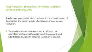 Pulp Functions: (induction, formation, nutrition,
defense and sensation)
1.Induction: pulp participate in the induction and development of
Odontoblast and dentin, which, when formed, induce enamel
formation.
 These processes are interdependent activities in that
ameloblasts influence differentiation of Odontoblast, and
odontoblasts and dentin influence formation of enamel.
 