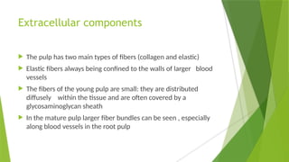 Extracellular components
 The pulp has two main types of fibers (collagen and elastic)
 Elastic fibers always being confined to the walls of larger blood
vessels
 The fibers of the young pulp are small: they are distributed
diffusely within the tissue and are often covered by a
glycosaminoglycan sheath
 In the mature pulp larger fiber bundles can be seen , especially
along blood vessels in the root pulp
 