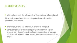 BLOOD VESSELS
 afferent(af‚er-ent) [L. afferens, fr. af-fero, to bring to] centripetal
(1); esodic;toward a center, denoting certain arteries, veins,
lymphatics, and nerves.
 efferent(ef‚er-ent) [L. efferens, fr. effero, to bring out]
 Conducting (fluid or a nerve impulse) outward from a given
organ or part thereof; e.g., the efferent connections of a group
of nerve cells, efferent blood vessels, or the excretory duct of an
organ.
 