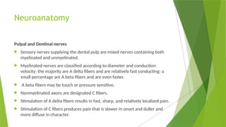 Neuroanatomy
Pulpal and Dentinal nerves
 Sensory nerves supplying the dental pulp are mixed nerves containing both
myelinated and unmyelinated.
 Myelinated nerves are classified according to diameter and conduction
velocity: the majority are A delta fibers and are relatively fast conducting: a
small percentage are A beta fibers and are even faster.
 A beta fibers may be touch or pressure sensitive.
 Nonmyelinated axons are designated C fibers.
 Stimulation of A delta fibers results in fast, sharp, and relatively localized pain.
 Stimulation of C fibers produces pain that is slower in onset and duller and
more diffuse in character.
 