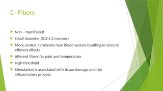 C- Fibers
 Non – myelinated
 Small diameter (0.3-1.2 microns)
 More central; terminate near blood vessels resulting in visceral
efferent effects
 Afferent fibers for pain and temperature
 High threshold
 Stimulation is associated with tissue damage and the
inflammatory process
 