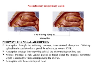 Neuron Spray 1.Nasopulmonary novel drugs delivery system | PPTX