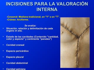 Introducción a la Anatomía Patológica: La Autopsia | PPT