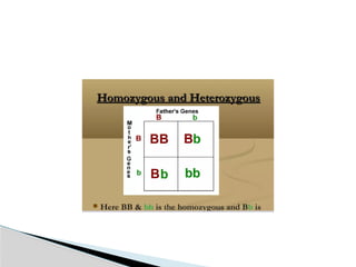 1. genetic-1.pptx introduction genetics 12 | PPTX