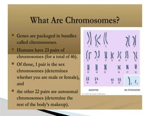1. genetic-1.pptx introduction genetics 12 | PPTX
