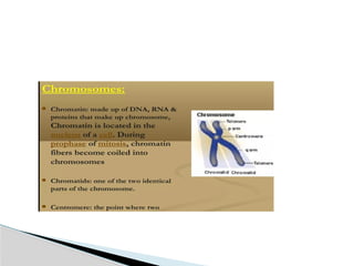1. genetic-1.pptx introduction genetics 12 | PPTX