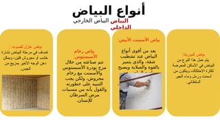 :‫الموريتا‬ ‫بياض‬
‫من‬ ‫النوع‬ ‫هذا‬ ‫عمل‬ ‫يتم‬
‫معرضة‬L‫ل‬‫ا‬ ‫األماكن‬ ‫في‬ ‫البياض‬
‫من‬ ‫ويتكون‬ ،‫االحتكاك‬ ‫لكثرة‬
‫الجير‬ ‫وماء‬ ‫ورمل‬ ‫أسمنت‬
.‫السلطاني‬
:‫األبيض‬ ‫األسمنت‬ ‫بياض‬
‫أنواع‬ ‫أقوى‬ ‫من‬ ‫يعد‬
‫تشطيب‬ ‫ند‬3
‫ع‬ ‫البياض‬
‫يتميز‬ ‫والذي‬ ،‫شقة‬
‫ويصبح‬ ‫والصالبة‬ ‫بالقوة‬
‫بعد‬ ‫البياض‬ ‫ناصع‬
‫تنفيذه‬ ‫من‬ ‫االنتهاء‬
.‫بعد‬ ‫فيما‬ ‫تلميعه‬ ‫ويمكن‬
‫رخام‬ ‫بياض‬
:‫األسبستوس‬
‫خالل‬ ‫من‬ ‫ته‬3
‫ع‬‫صنا‬ ‫تتم‬
‫األسبستوس‬ ‫بودرة‬ ‫مزج‬
‫رخام‬ ‫مع‬ ‫واألسمنت‬
‫يجب‬ ‫ولكن‬ ،‫مجروش‬
‫خطورته‬ ‫على‬ ‫التنبيه‬
‫مسببات‬ ‫من‬ ‫بأنه‬ ‫والقول‬
‫السرطان‬ ‫مرض‬
.‫لإلنسان‬
‫للصوت‬ ‫عازل‬ ‫بياض‬
:
‫نشارة‬ ‫البياض‬ ‫مرحلة‬ ‫في‬ ‫تضاف‬
‫ويمكن‬ ،‫فلين‬ ‫مجروش‬ ‫أو‬ ‫خشب‬
‫من‬ ‫بمزيج‬ ‫األخير‬ ‫الوجه‬ ‫دهن‬
.‫الجبس‬
‫البياض‬ ‫أنواع‬
‫البياض‬
‫الداخلي‬
‫الخارجي‬ ‫البياض‬
 