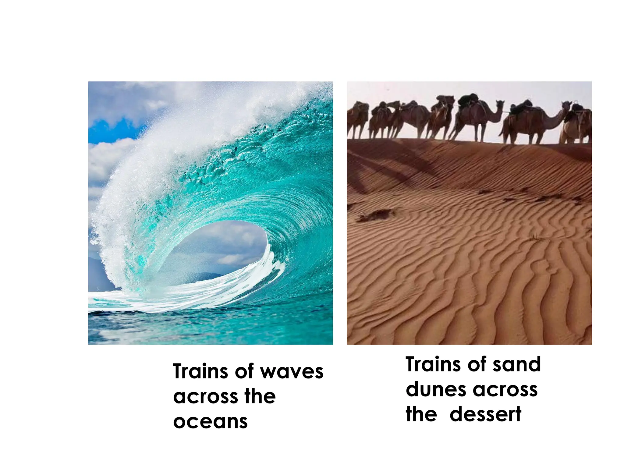 Trains of waves
across the
oceans
Trains of sand
dunes across
the dessert
 